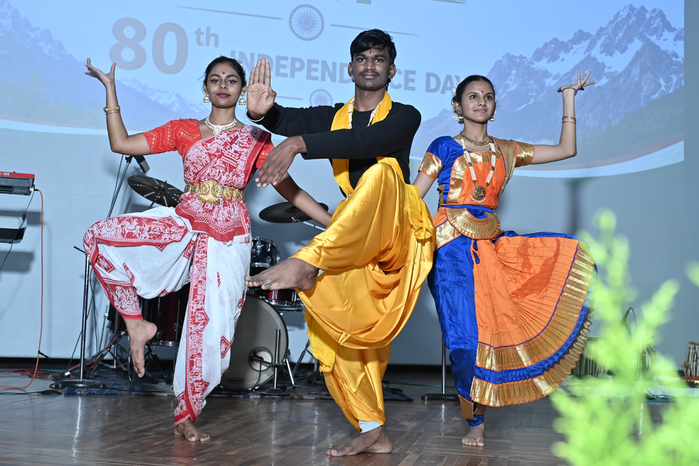 Cultural Fest Image 2